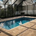 Minimalist backyard design framing the Wylela rectangle pool