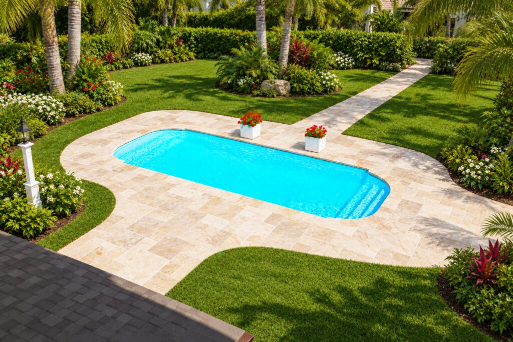Dolphin pool photo